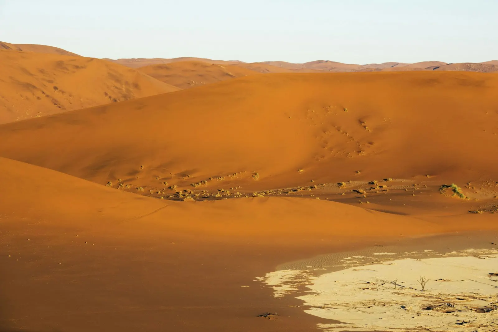 Sahara desert photography and riding guide Golden Sahara dunes photographed in clear desert light