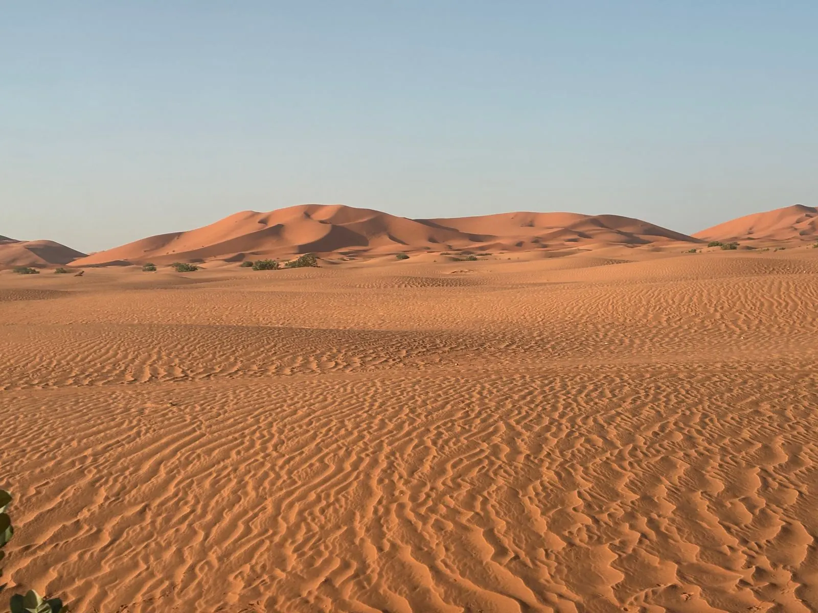 Merzouga To Tafraout Sidi Ali Enduro Merzouga To Tafraout Sidi Ali Enduro