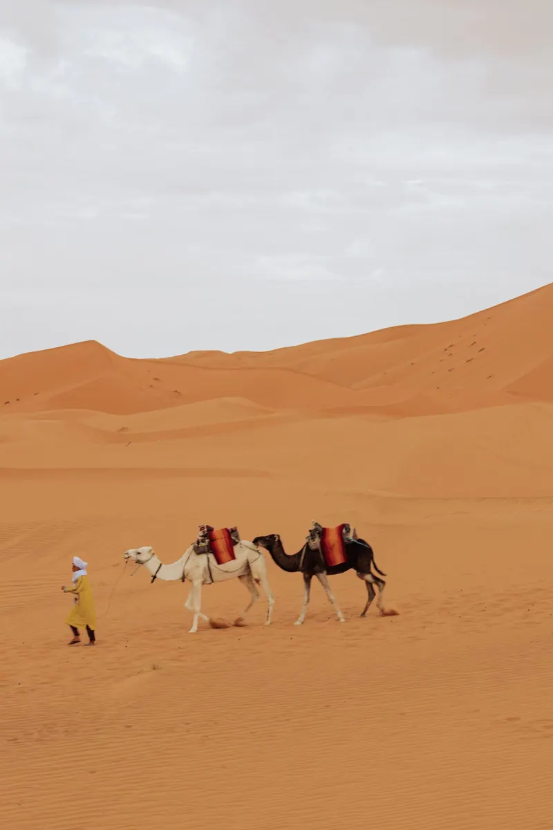 What To Pack For Sahara Desert Trip What To Pack For Sahara Desert Trip