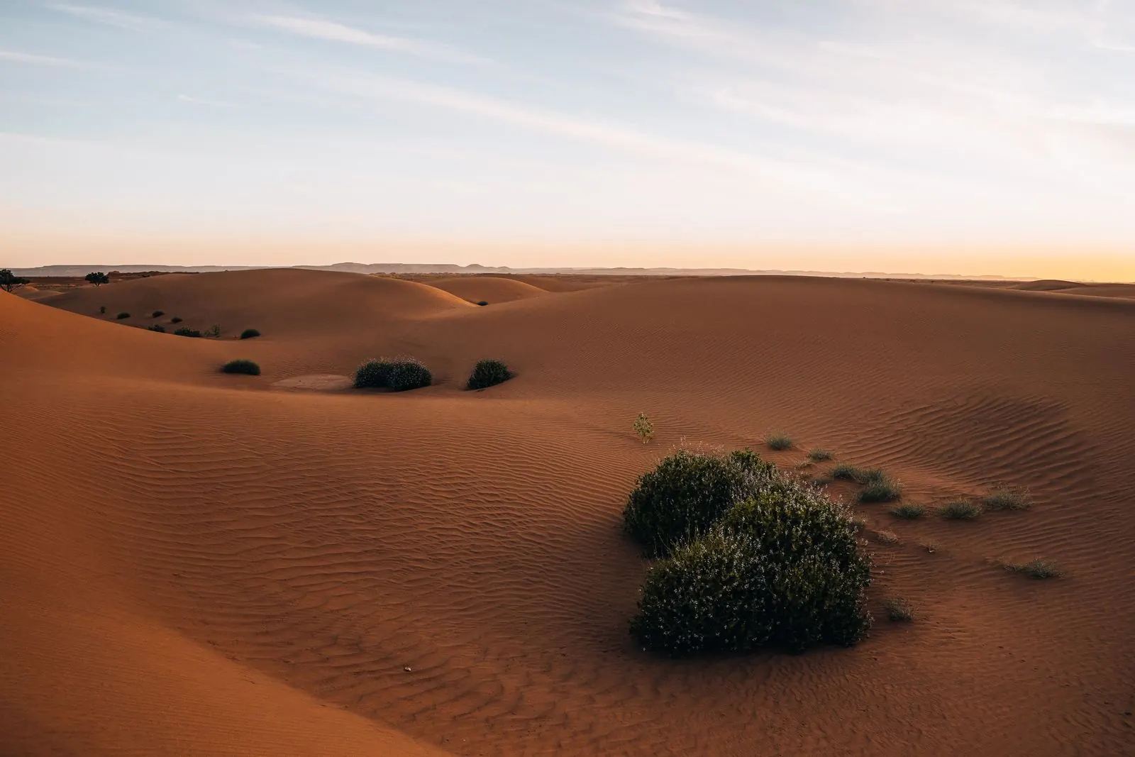 Best Time Of Year Sahara Enduro Riding Morocco Best Time Of Year Sahara Enduro Riding Morocco